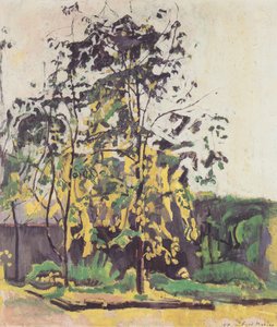 Árboles en el jardín del estudio de Ferdinand Hodler